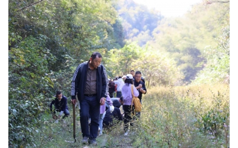 踏秋尋寶，聞香識藥！首屆神農(nóng)杯野外識藥大賽在株洲鳳凰山景區(qū)成功舉辦！